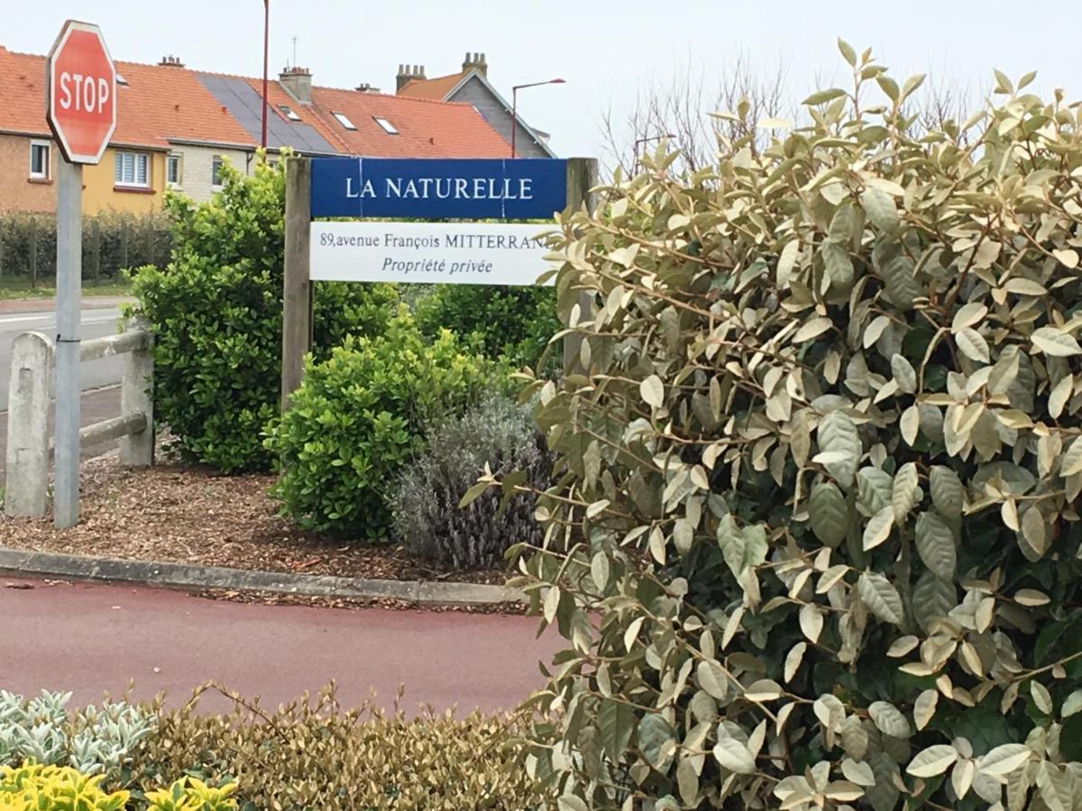 La Mer Vue D'En Haut , Duplex A La Naturelle Sur La Cote D'Opale Wimereux Exterior photo